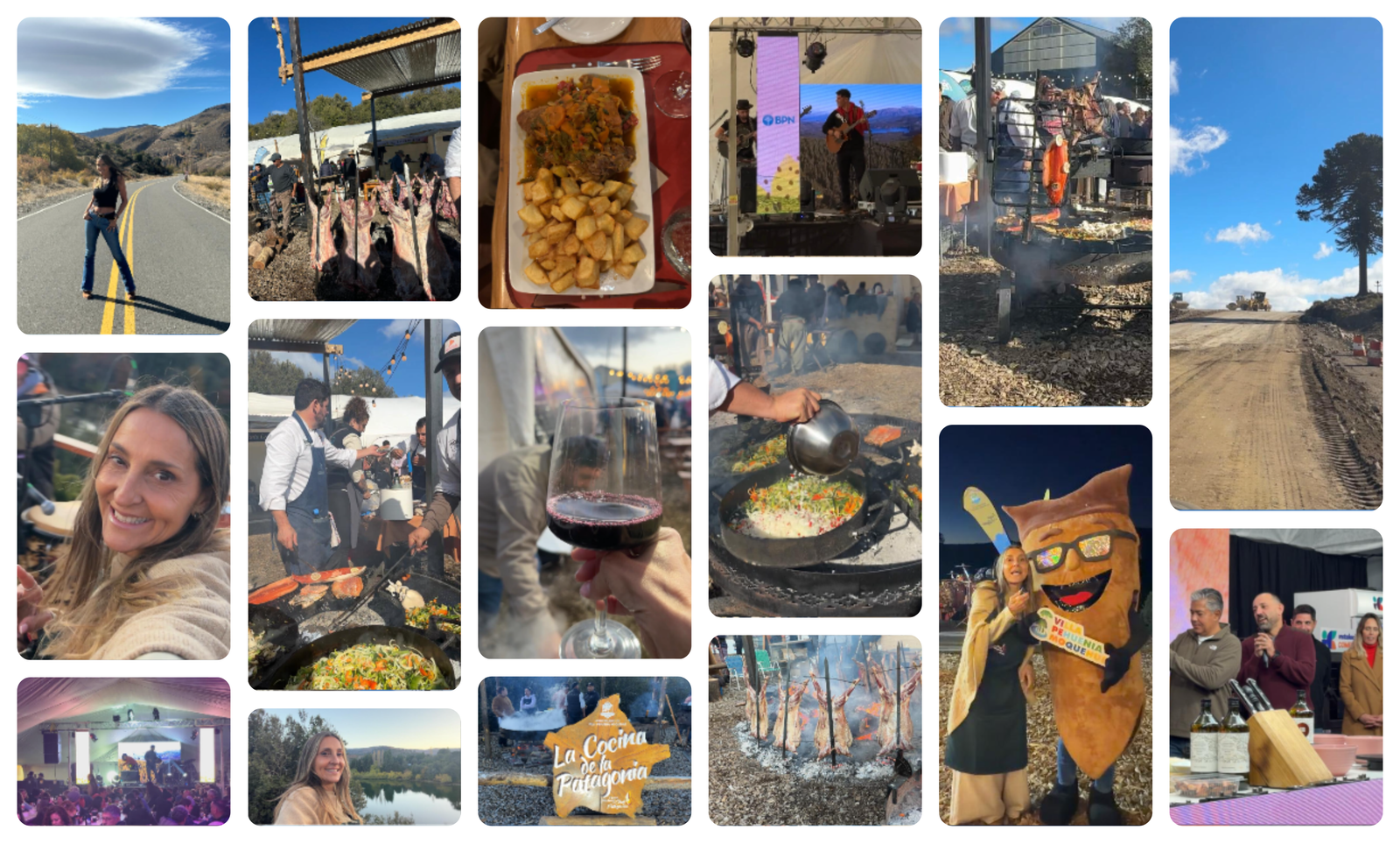 Fiesta del Chef Villa Pehuenia
